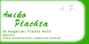 aniko plachta business card